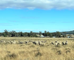 Rural / Farming commercial property sold at 9489 ?Sunbury?, The Bogan Way Tullamore NSW 2874
