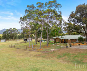 Rural / Farming commercial property sold at 402 McMullins Road Branxton NSW 2335