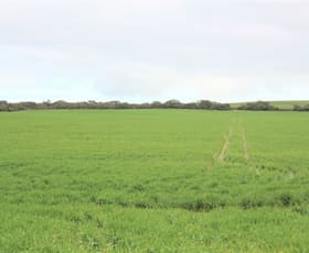 Rural / Farming commercial property sold at Lot 502 McKenzie Road Foul Bay SA 5577