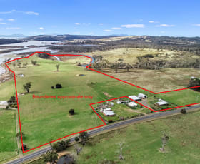 Rural / Farming commercial property sold at 10282 Tasman Highway Little Swanport TAS 7190