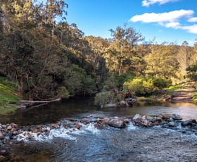 Rural / Farming commercial property sold at Rays Riverside Est, Cells Road Cells River NSW 2424