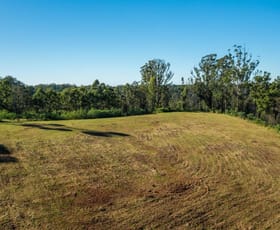 Rural / Farming commercial property for sale at 110B Baileys Road Telegraph Point NSW 2441