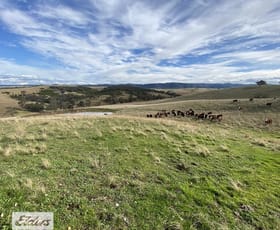 Rural / Farming commercial property for sale at 1483 Licola Road Glenmaggie VIC 3858