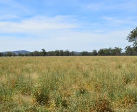 Rural / Farming commercial property sold at Fletchers, 426 Fletchers Lane Wagga Wagga NSW 2650