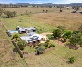 Rural / Farming commercial property sold at 14115 Cunningham Highway Rosenthal Heights QLD 4370