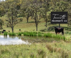 Rural / Farming commercial property sold at Watsons Creek NSW 2355