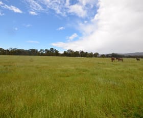Rural / Farming commercial property sold at Lot 2 Marland Road Barkly VIC 3384