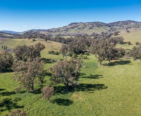 Rural / Farming commercial property sold at Lot 2 Long Gully Road Violet Town VIC 3669