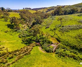 Rural / Farming commercial property sold at 451 (A1) Nettle Hill Road Hindmarsh Valley SA 5211