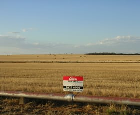 Rural / Farming commercial property for sale at 3 Koorda-Bullfinch Rd Koorda WA 6475