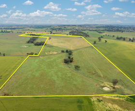 Rural / Farming commercial property sold at 4096 Henry Parkes Way Manildra NSW 2865