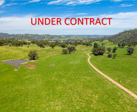 Rural / Farming commercial property for sale at 294 STEWARTS ROAD, Oberne Creek NSW 2650