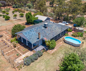 Rural / Farming commercial property sold at 10 Phillips Road Coondle WA 6566