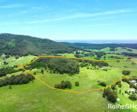Rural / Farming commercial property for sale at Bryces Road Far Meadow NSW 2535