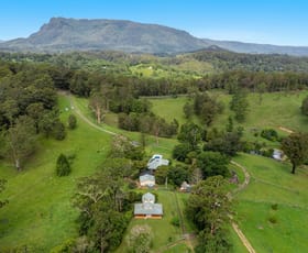 Rural / Farming commercial property for sale at 4358 Kyogle Road Wadeville NSW 2474