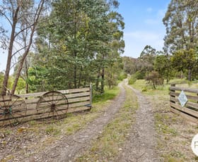 Rural / Farming commercial property sold at 169 South Durham Bridge Road Durham Lead VIC 3352