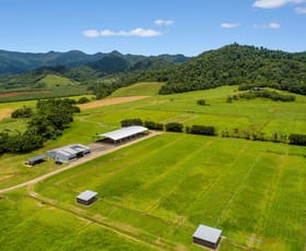 Rural / Farming commercial property sold at Lot 145 Crystal Valley Access Woopen Creek QLD 4871