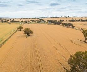 Rural / Farming commercial property sold at 'Rugby'/8 Schlenkers Rd Henty NSW 2658