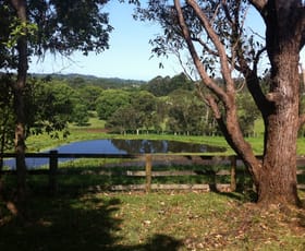 Rural / Farming commercial property sold at 124 Myocum Downs Drive Myocum NSW 2481