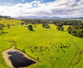 Rural / Farming commercial property sold at 1456 Rollands Plains Road Ballengarra NSW 2441