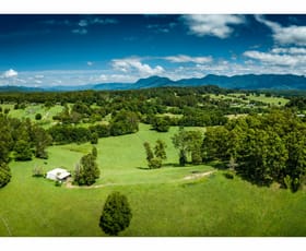 Rural / Farming commercial property sold at 60 Reids Road Bellingen NSW 2454