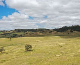 Rural / Farming commercial property sold at 'Craigburn' Wisemans Arm Road Tamworth NSW 2340