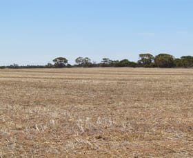 Rural / Farming commercial property sold at . Great Northern Highway / Wubin East Road Wubin WA 6612
