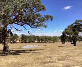 Rural / Farming commercial property for sale at Lot 13H Jones Road Waterloo VIC 3373