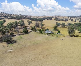 Rural / Farming commercial property sold at 315 Growlers Gully Road Merton VIC 3715