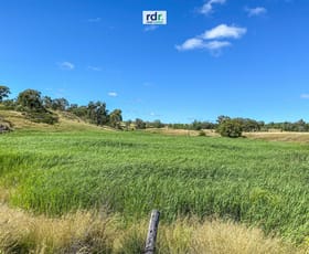 Rural / Farming commercial property for sale at Inverell NSW 2360