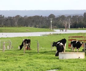 Rural / Farming commercial property sold at 419A Freshwater Road Kilmany VIC 3851