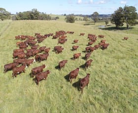 Rural / Farming commercial property sold at Upton Farms Topdale road Niangala NSW 2354