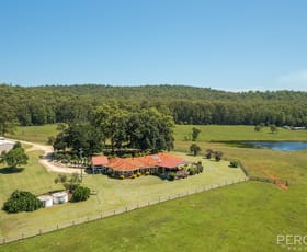 Rural / Farming commercial property sold at 338 Blackbutt Road Herons Creek NSW 2439