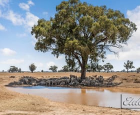 Rural / Farming commercial property sold at Michael Road Sutherland VIC 3477
