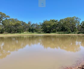 Rural / Farming commercial property sold at Mitchell Highway Girilambone NSW 2831