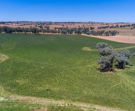 Rural / Farming commercial property sold at 2328 Mid Western Highway Cowra NSW 2794