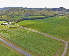 Rural / Farming commercial property sold at 440 Devereux Creek Road Devereux Creek QLD 4753