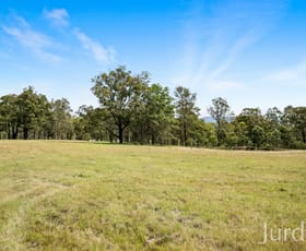 Rural / Farming commercial property sold at 23 Richardson Road Lovedale NSW 2325