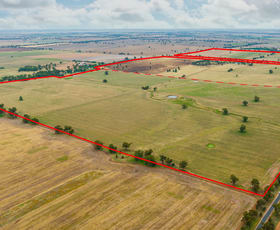 Rural / Farming commercial property sold at 'Bexley'/. Bidgeemia Road Rand NSW 2642