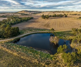 Rural / Farming commercial property sold at 'Stradbroke' 983 Stockinbingal Road Cootamundra NSW 2590