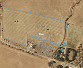 Rural / Farming commercial property sold at - Stone Hut-Caltowie Road Caltowie SA 5490