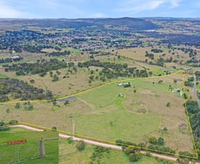 Rural / Farming commercial property for sale at 132 Sunnyside Loop Road Tenterfield NSW 2372