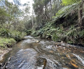Rural / Farming commercial property sold at Lots 79,80 & 86 Blencowes of Nowendoc via Gloucester NSW 2422