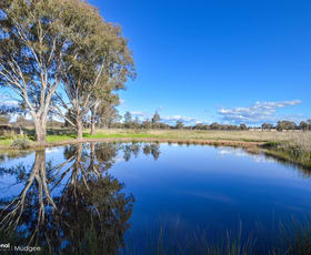 Rural / Farming commercial property sold at 146 Kurtz Lane Mudgee NSW 2850