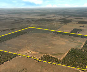 Rural / Farming commercial property sold at lot 137 Mallee Road Brownlow SA 5374