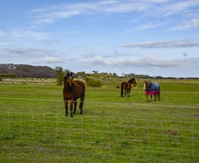 Rural / Farming commercial property sold at 48 Prosser Court Kingston Se SA 5275