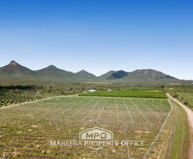 Rural / Farming commercial property sold at 531 Boonmoo Road Dimbulah QLD 4872