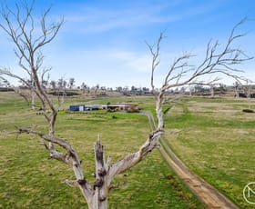 Rural / Farming commercial property sold at 443 Norwich Drive Longford TAS 7301