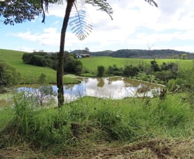 Rural / Farming commercial property sold at 1413 Dalrymple Road, Dalrymple Heights Eungella QLD 4757