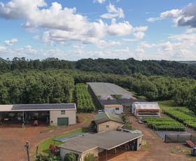 Rural / Farming commercial property sold at 323 Eureka Road Eureka NSW 2480